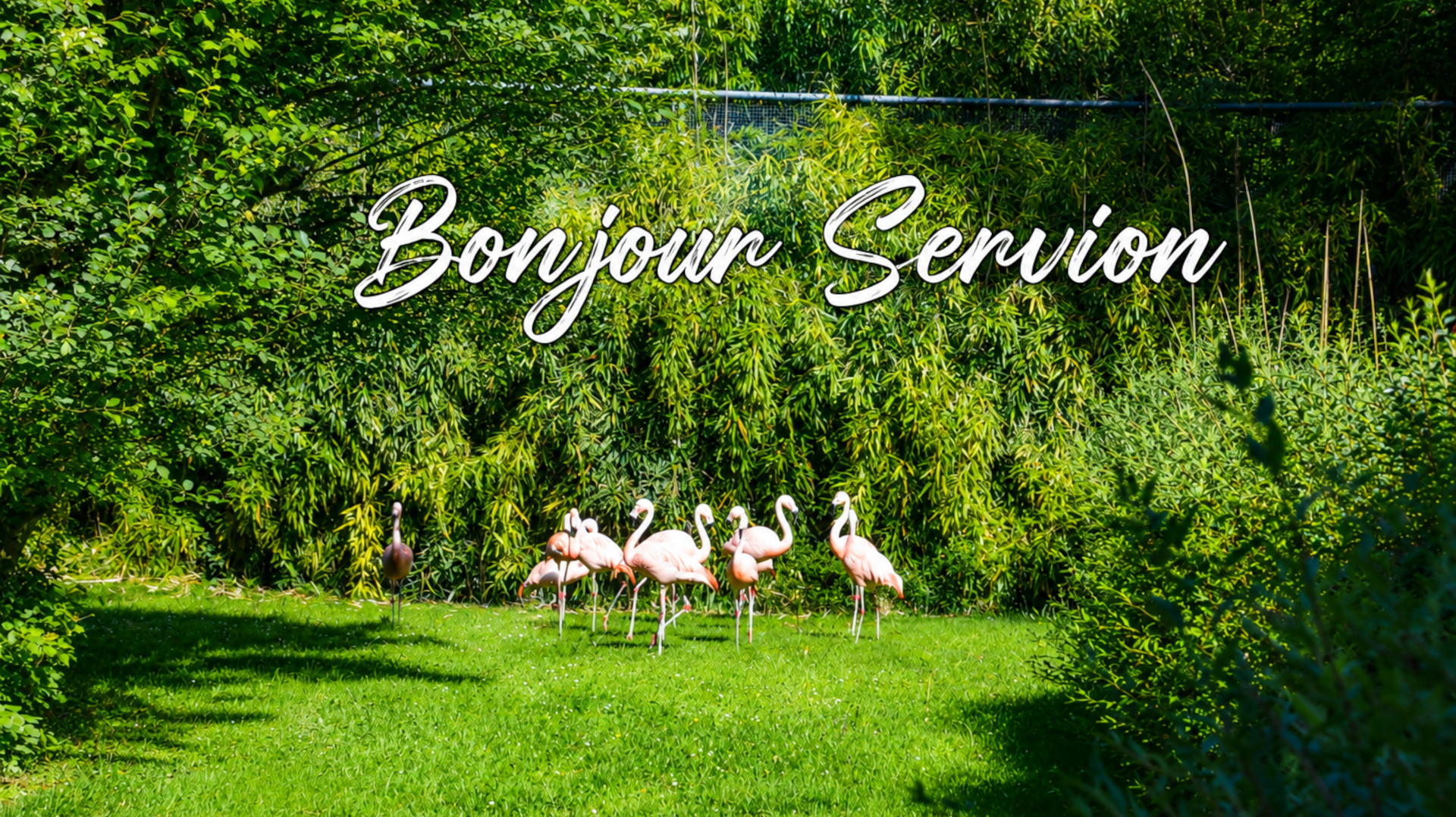 Entreprises de la région Découvrir Servion