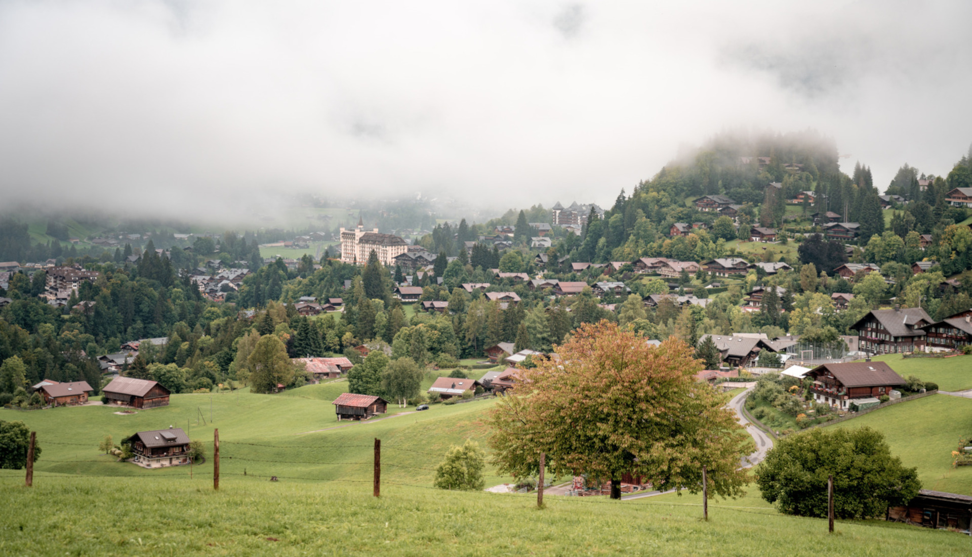 Entreprises de la région Saanen-Gstaad
