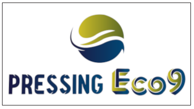 Pressing Eco 9 - Nettoyage à sec - Rolle