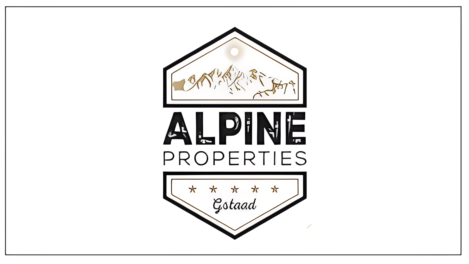 Alpine Properties Gstaad, Real Estate Agency